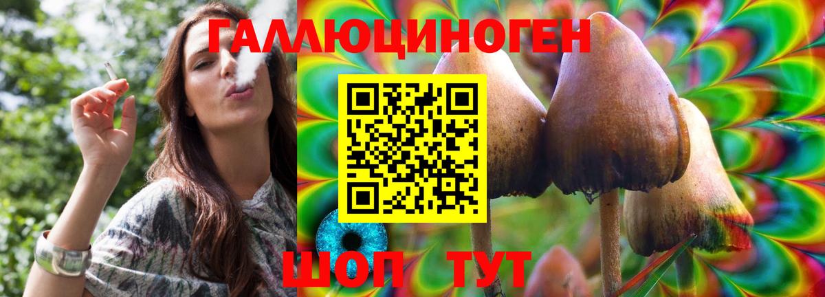 Псилоцибиновые грибы Psilocybe Азов
