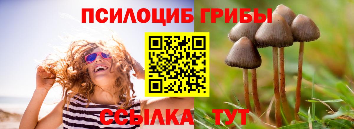 где купить наркотик  Вход с VPN  Азов  Псилоцибиновые грибы Magic Shrooms 